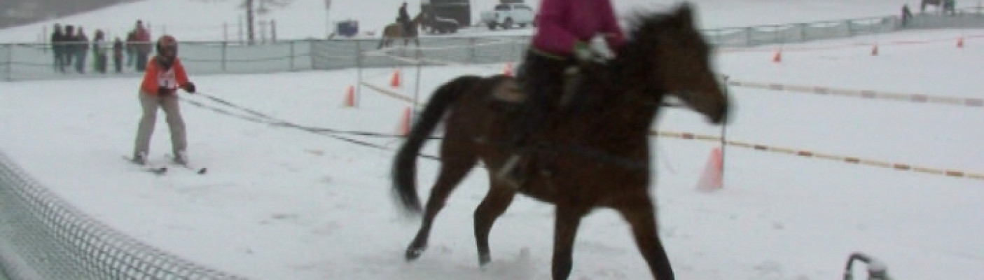 Skij&ouml;ring | Bildquelle: RTF.1