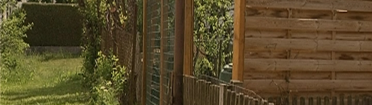 Garten Hundebiss Frohnstetten | Bildquelle: RTF.1