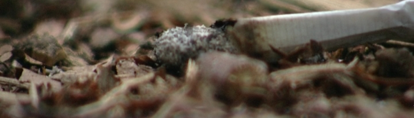 Zigarette Waldbrandgefahr | Bildquelle: RTF.1