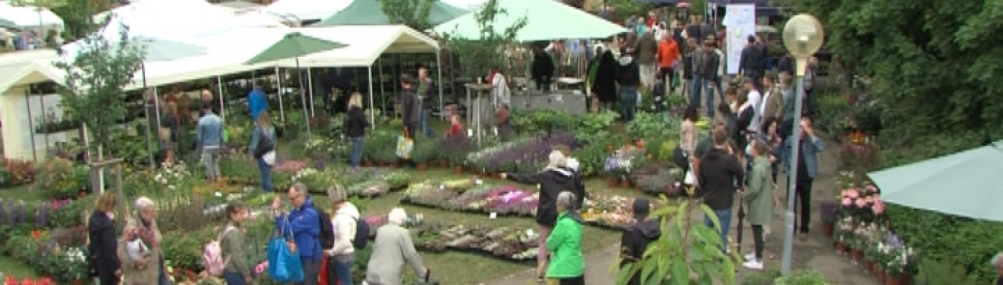 Garden Life Vorbericht | Bildquelle: RTF.1