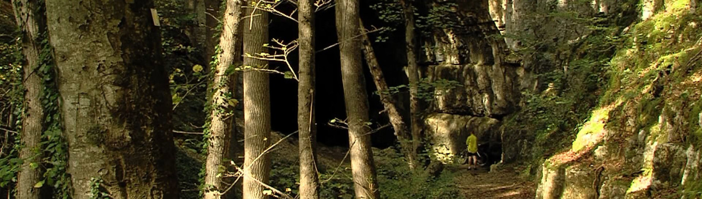 Falkensteiner H&ouml;hle | Bildquelle: RTF.1