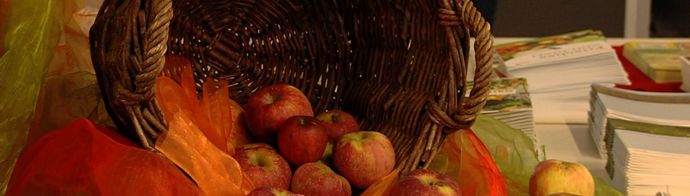 Apfelfest M&ouml;ssingen | Bildquelle: RTF.1