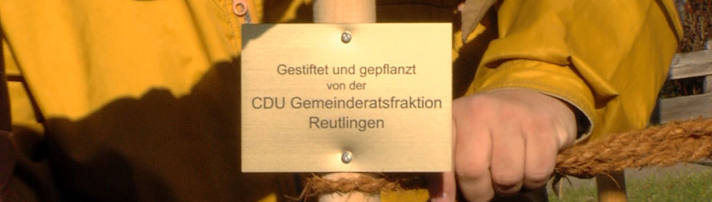 Baumpflanzaktion | Bildquelle: RTF.1