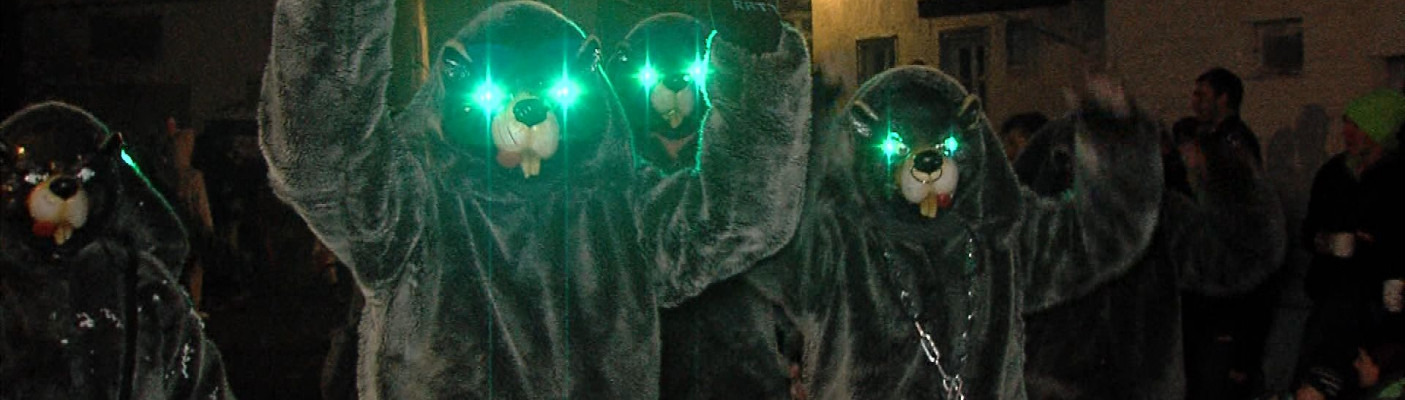 Nachtumzug Wannweil | Bildquelle: RTF.1