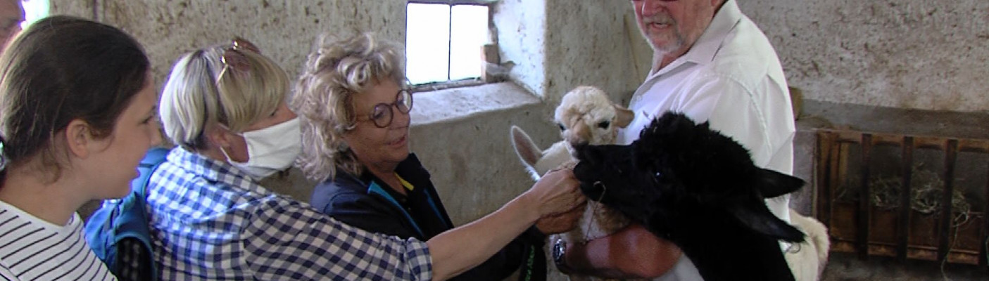 Sommertour Beate M&uuml;ller-Gemmeke | Bildquelle: RTF.1