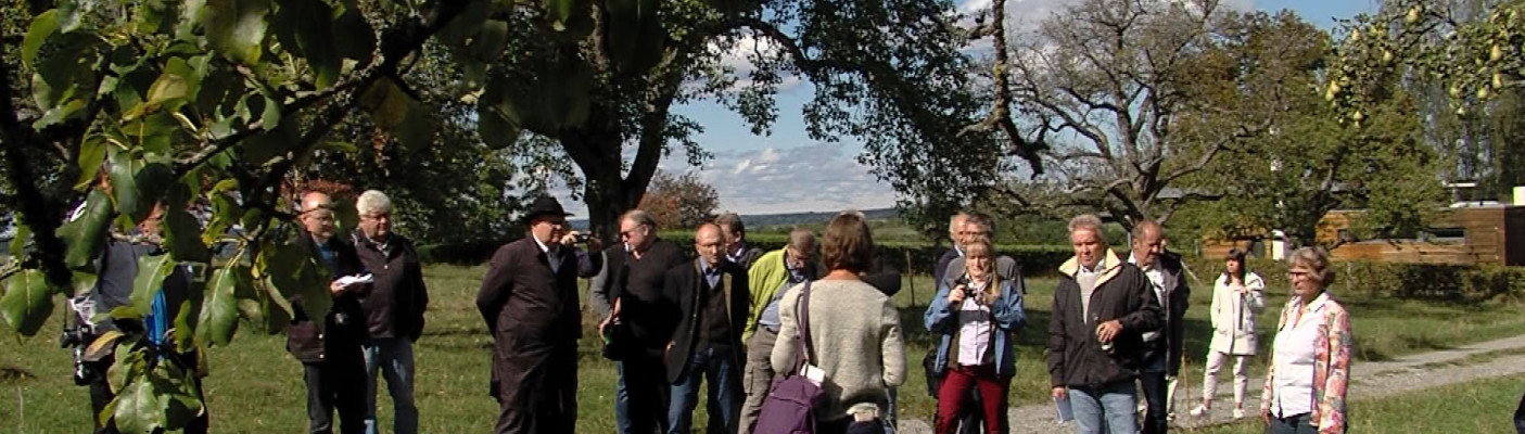 Untersteller auf Streuobstwiesen | Bildquelle: RTF.1