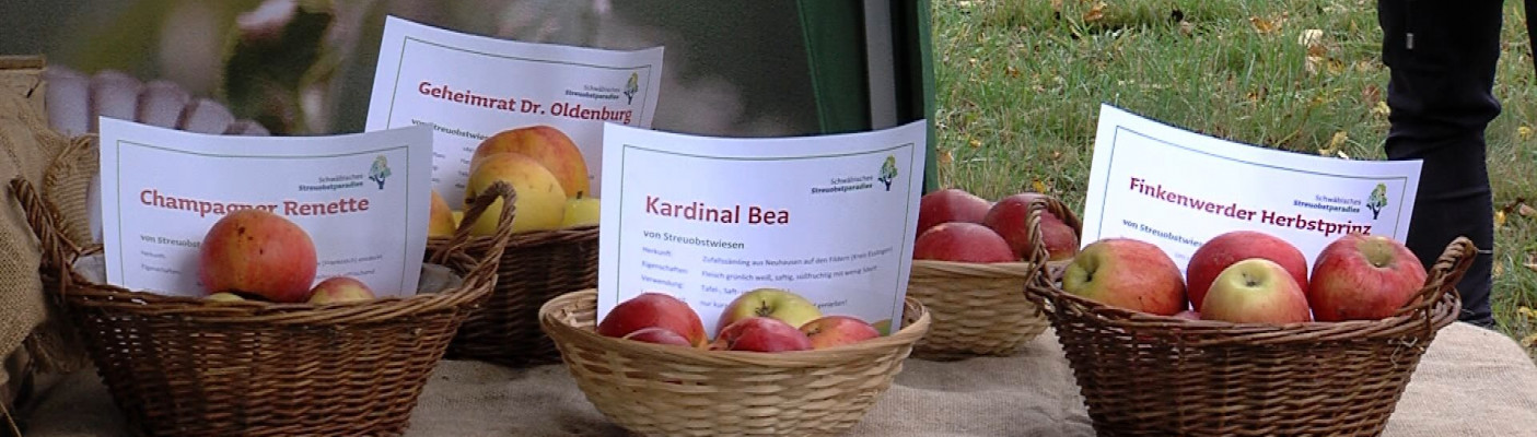 Streuobstsorten | Bildquelle: RTF.1