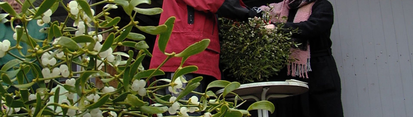 Mistelaktion Supermarkt | Bildquelle: RTF.1