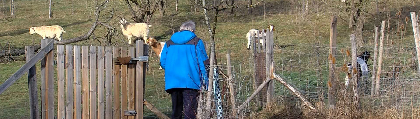 Treutlein zum Listhof | Bildquelle: RTF.1