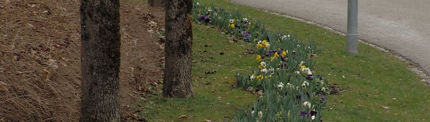 Gartenschau Bad Urach 2027 | Bildquelle: RTF.1