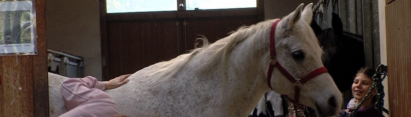 Eulengarten | Bildquelle: RTF.1