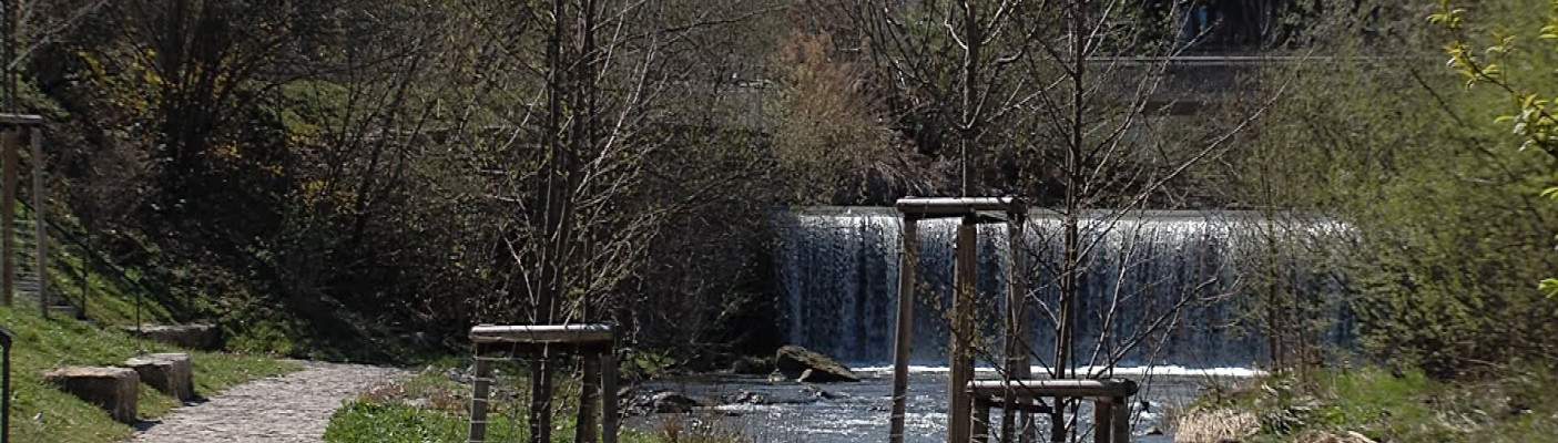 Gartenschau Balingen | Bildquelle: RTF.1