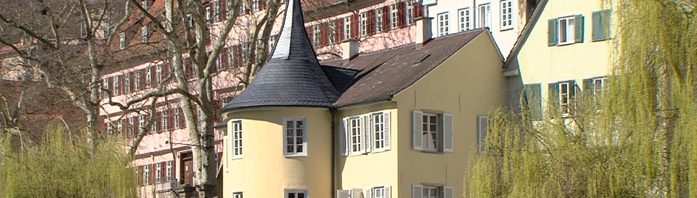 H&ouml;lderlin-Gesellschaft &uuml;bergibt Akten | Bildquelle: RTF.1