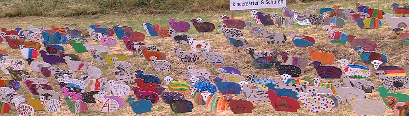 Schafherde Bad Urach | Bildquelle: RTF.1