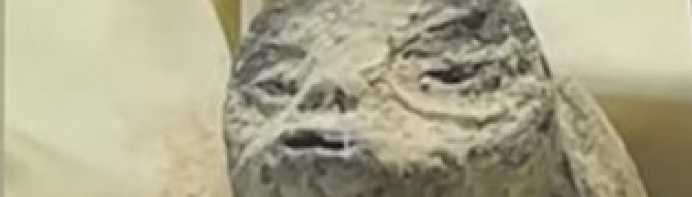 Humanoider - Mexikanischer Kongress | Bildquelle: 