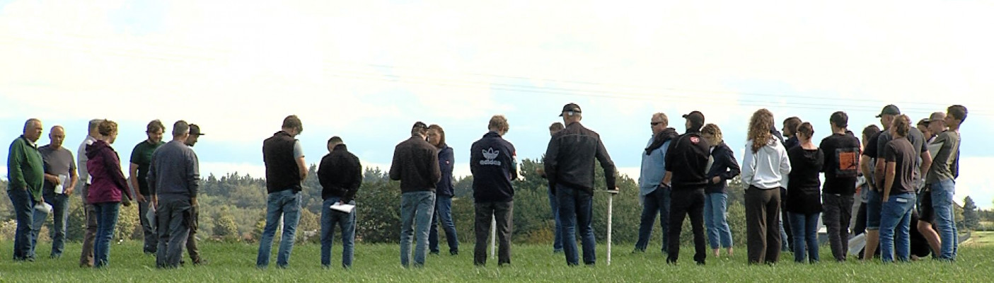 Grünland-Begehung im Landkreis Reutlingen | Bildquelle: RTF.1