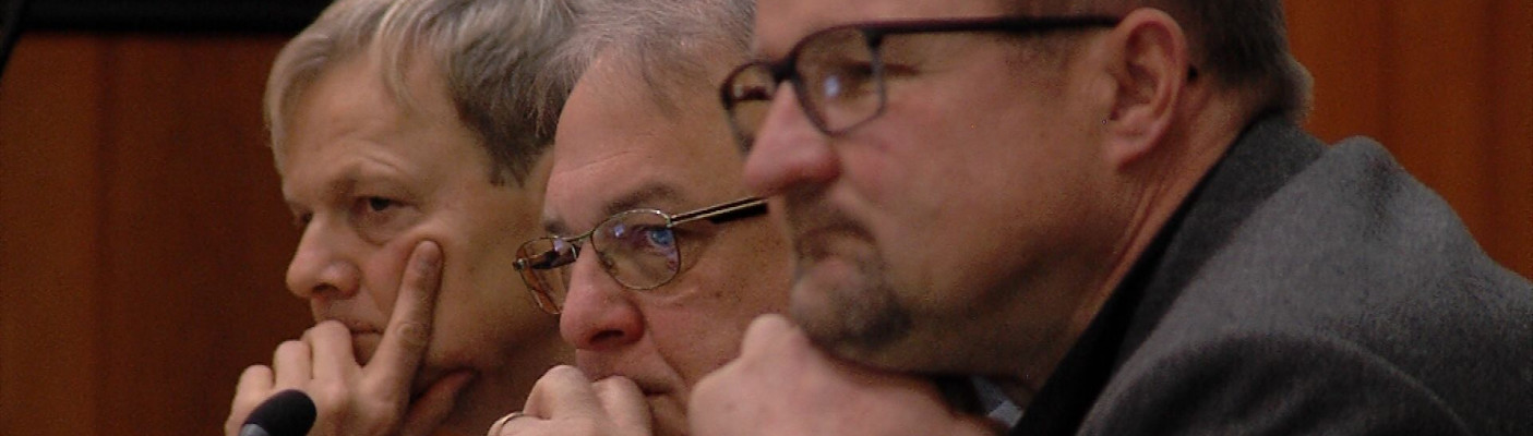 Bundesgartenschau in Reutlingen m&ouml;glich? | Bildquelle: RTF.1