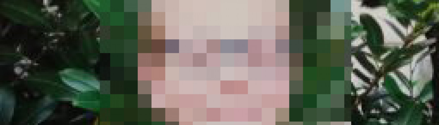 Leon aufgetaucht | Bildquelle: Polizei Reutlingen (verpixelt)