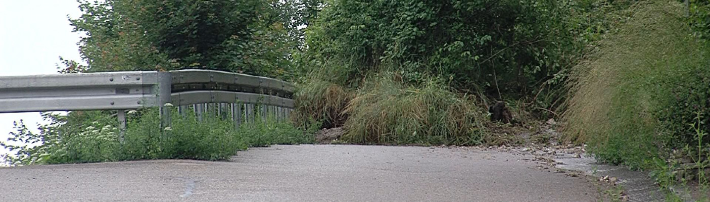 Hang in Bad Urach abgerutscht | Bildquelle: RTF.1