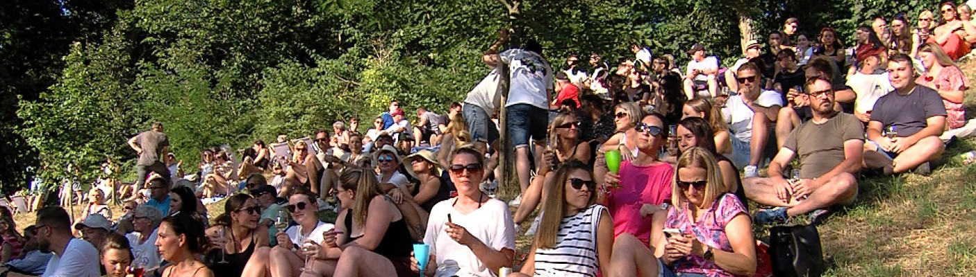 Sommerabend im Weinberg | Bildquelle: RTF.1