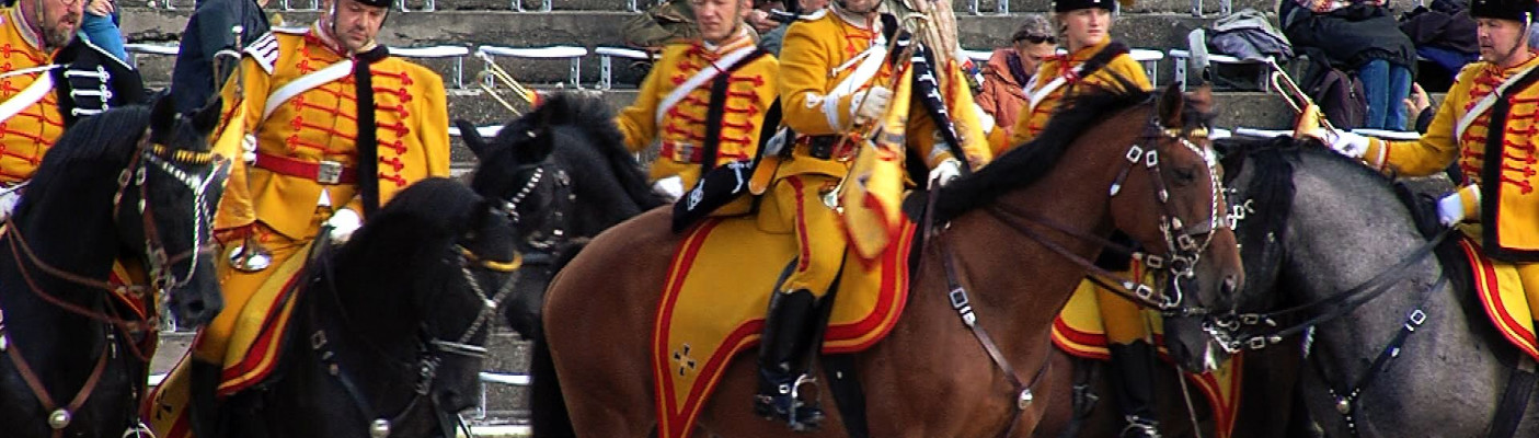 Hengstparade, Marbach | Bildquelle: RTF.1