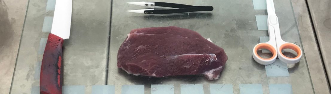 Aus Schlachtabf&auml;llen werden im Labor Stammzellen isoliert, die als Grundlage f&uuml;r die Fleischz&uuml;chtung dienen | Bildquelle: Hochschule Reutlingen