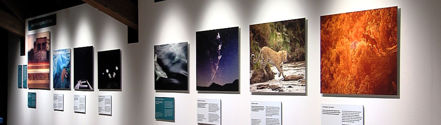 Ausstellung Wildlife Photographer of the Year | Bildquelle: RTF.1