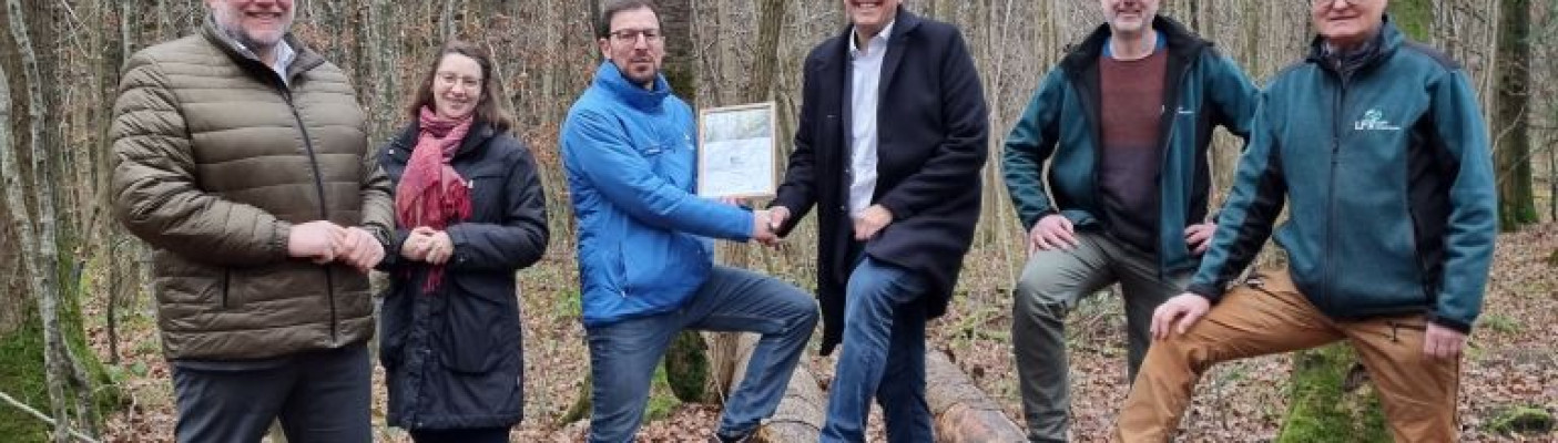 Metzingen wird zehnte Naturwaldgemeinde im Land | Bildquelle: NABU BW/Stadt Metzingen