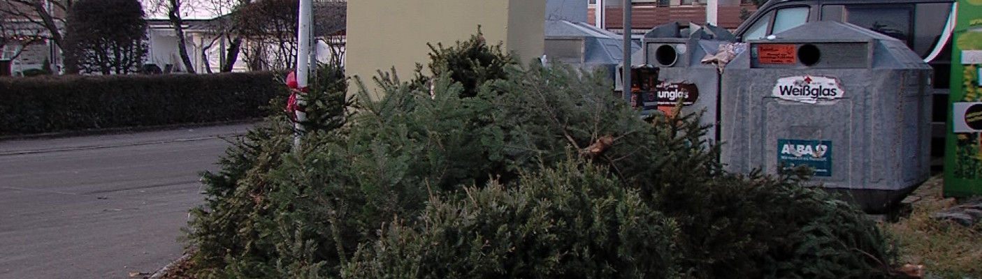 Weihnachtsbäume entsorgen | Bildquelle: RTF.1