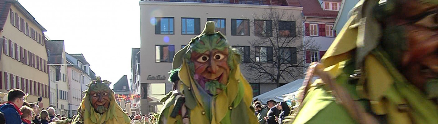 Narrenumzug Rottenburg | Bildquelle: RTF.1