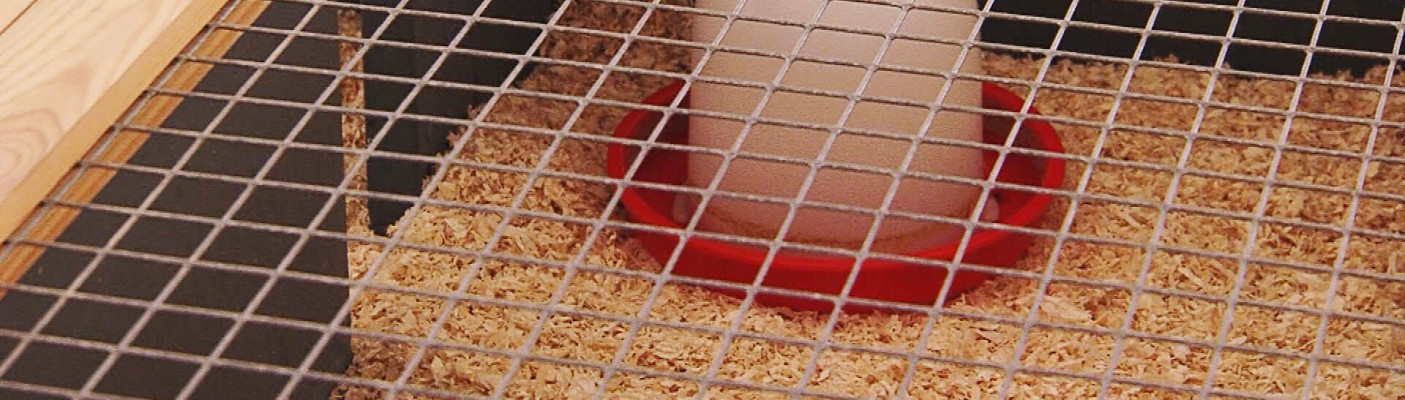 In der K&uuml;kenausstellung | Bildquelle: RTF.1