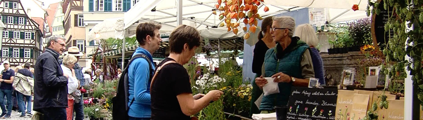 Pflanzenstand auf Umbrisch-Provenzischem Markt | Bildquelle: RTF.1