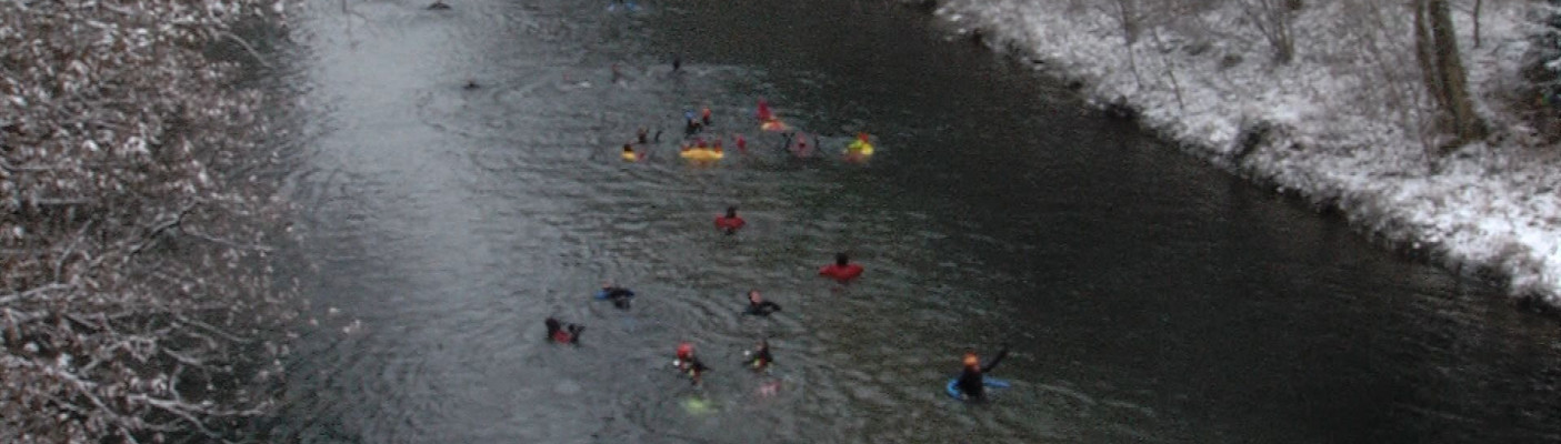 Neckarabschwimmen der T&uuml;binger Feuerwehr | Bildquelle: RTF.1