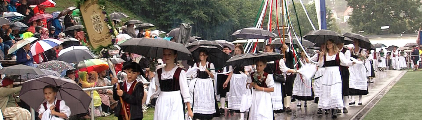 Sch&auml;ferlauf im Regen | Bildquelle: RTF.1