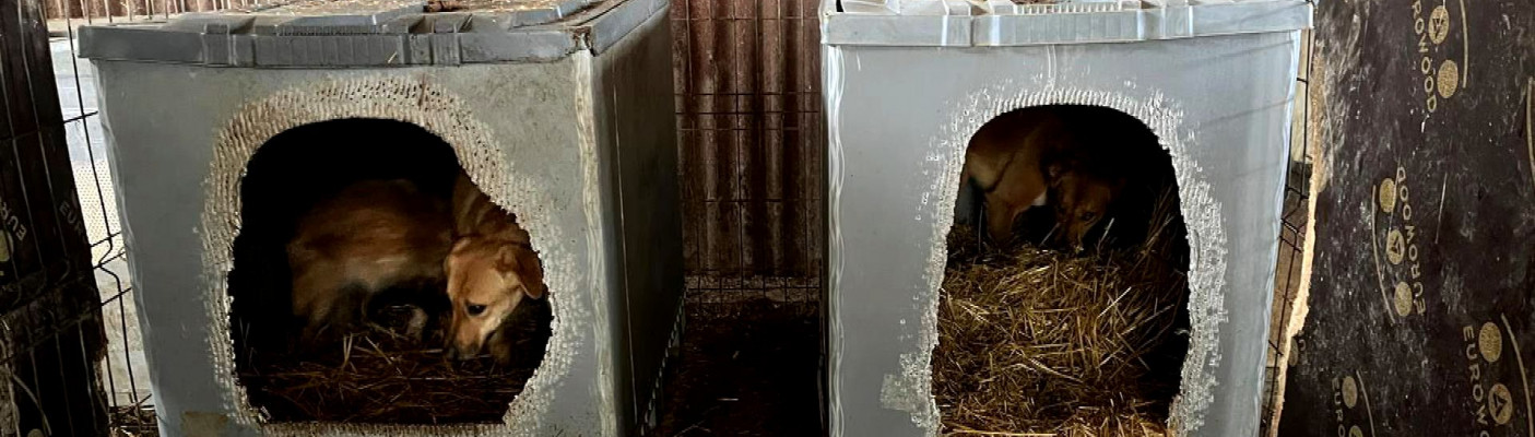 Palettenboxen | Bildquelle: RTF.1