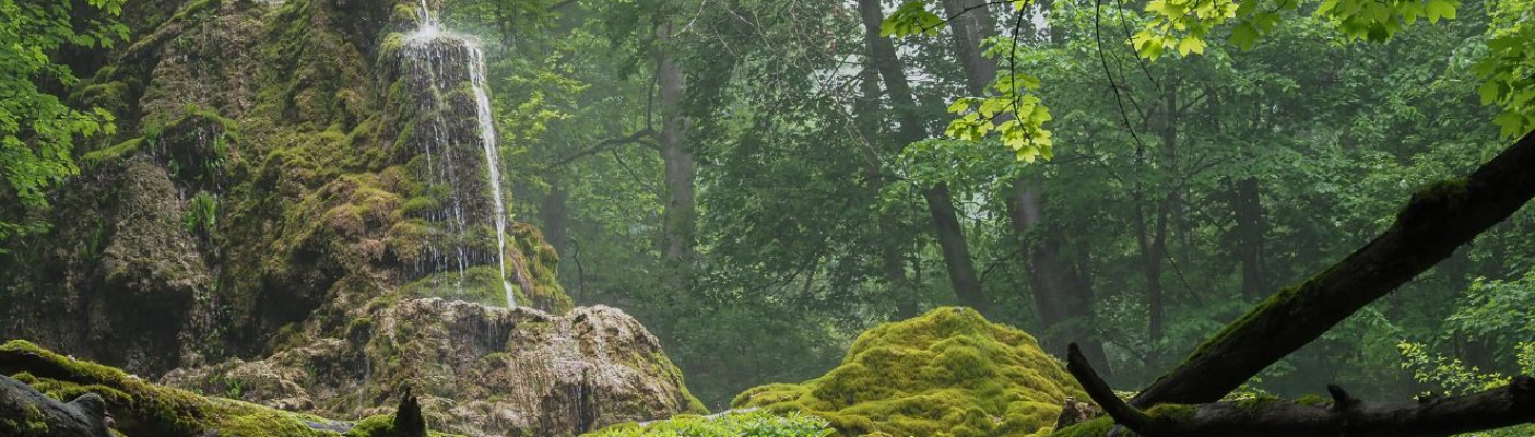 G&uuml;tersteiner Wasserf&auml;lle | Bildquelle: Photoclub Reutlingen