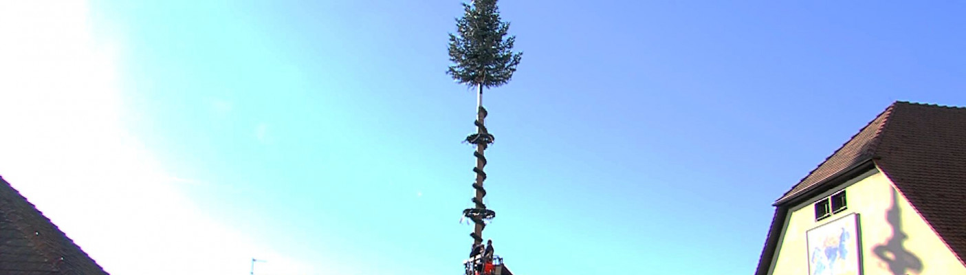 Maibaum Metzingen | Bildquelle: RTF.1