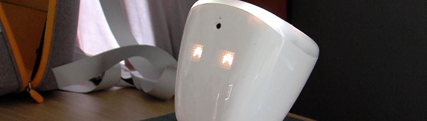 Dieser kleine Roboter ist ein Avatar | Bildquelle: RTF.1
