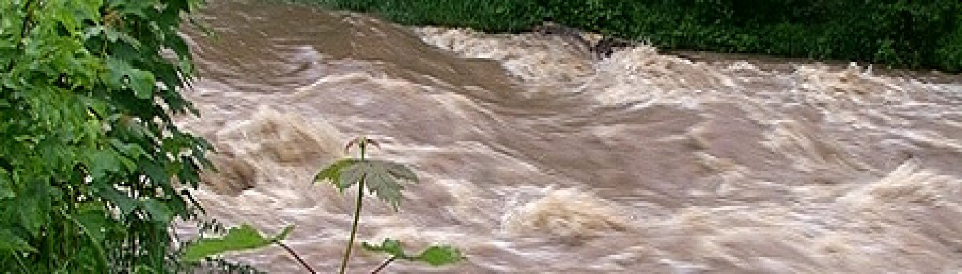 Hochwasser: Ammer bei Tübingen-Lustnau | Bildquelle: RTF.1