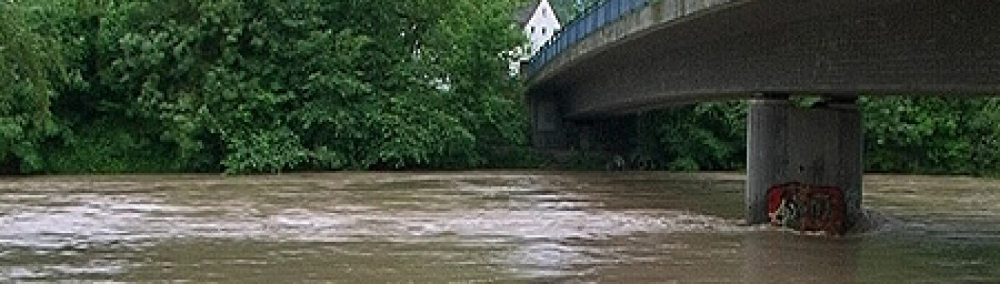 Hochwasser: Neckar bei Kirchentellinsfurt | Bildquelle: RTF.1