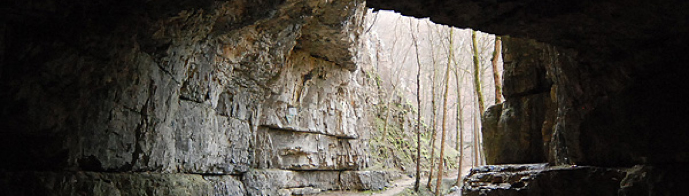 Falkensteiner Höhle | Bildquelle: RTF.1