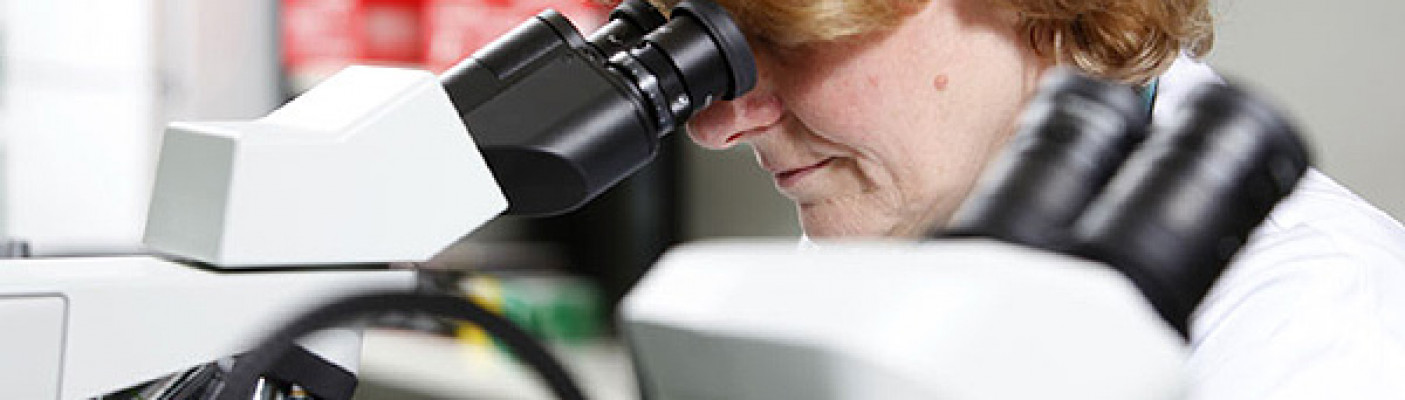 Im Labor: Arbeit am Mikroskop | Bildquelle: Alzheimer Forschung Initiative e.V.
