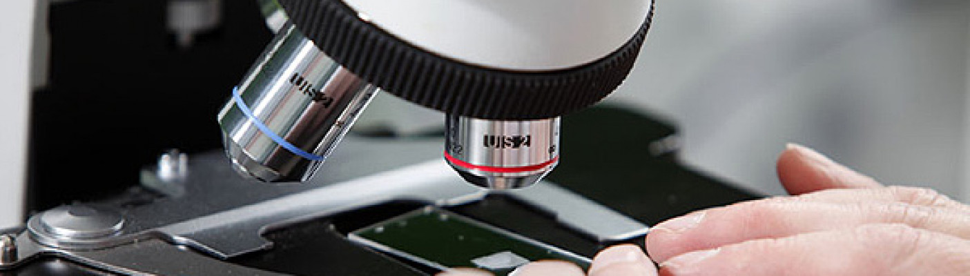 Im Labor: Arbeit am Mikroskop | Bildquelle: Alzheimer Forschung Initiative e.V.