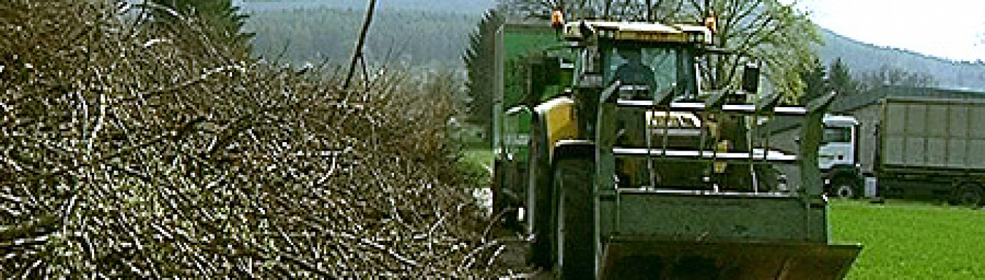Biomasse/Grünabfälle | Bildquelle: RTF.1