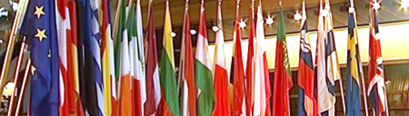 Europäische Flaggen | Bildquelle: RTF.1