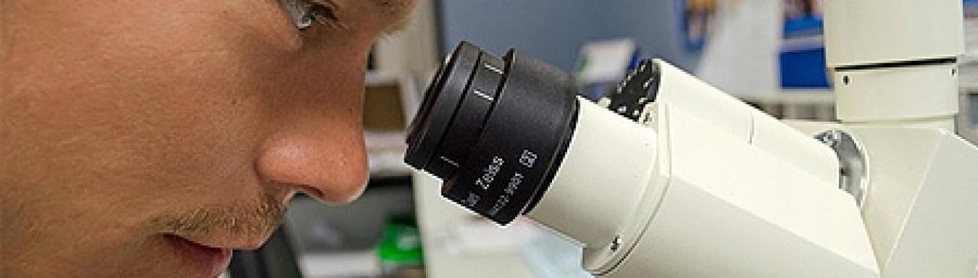 Forscher am Mikroskop | Bildquelle: pixabay
