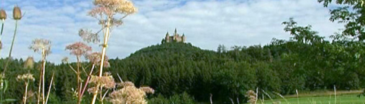 Burg Hohenzollern | Bildquelle: RTF.1