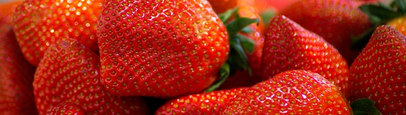 Erdbeeren | Bildquelle: Pixabay.com