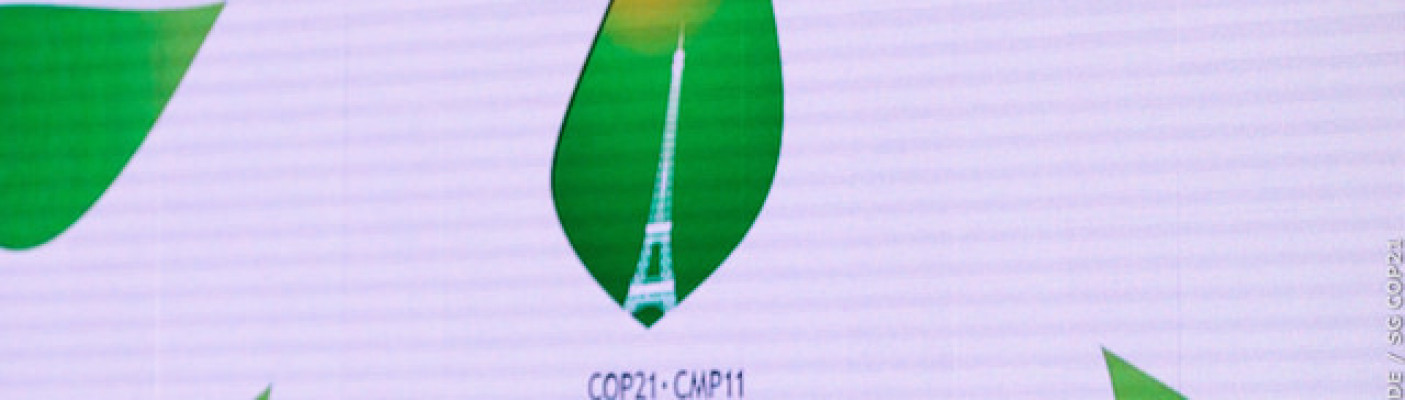 UN Klimagipfel COP21 Paris | Bildquelle: COP Paris/Flickr/CC0 Lizenz