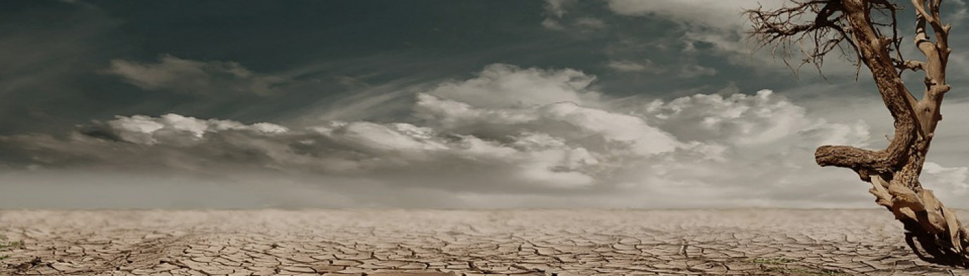 Dürre, Wüste | Bildquelle: pixabay.com
